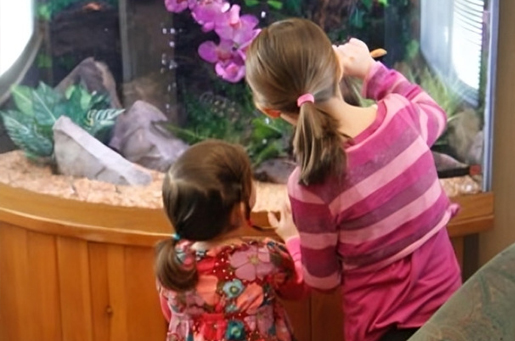 Two young children viewing an aquarium with colorful fish and pink flowers in a dental office setting.